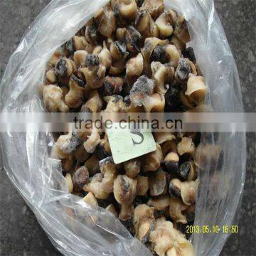 best seafood market/frozen conch