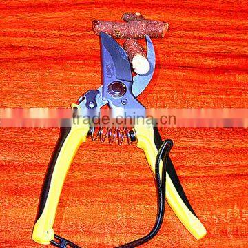 BY-pass Pruners photo-6