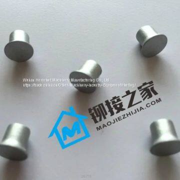 Self-Piercing Rivet for Automotive space frames, Air cargo equipment, Domestic appliances, Ladders