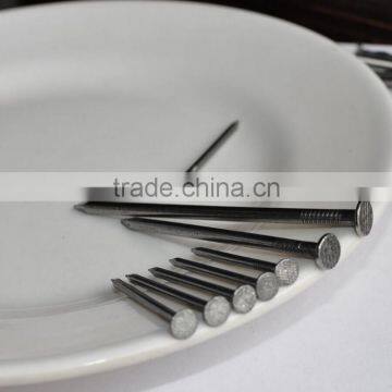 China Factory Common Wire Nail Products photo-2