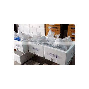 Ornamental Fish Farm and Export Company photo-6