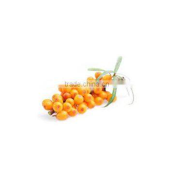 Seabuckthorn Oil photo-3