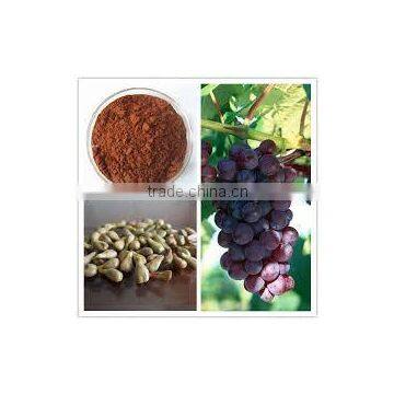 Grape Seed Extract photo-4