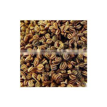 Celery Seed