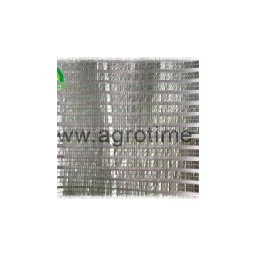 Aluminum Foil