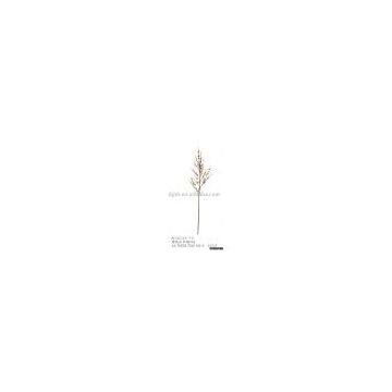 Artificial Flower Cherrim/ Cherry Blossom/ Cherry Flower