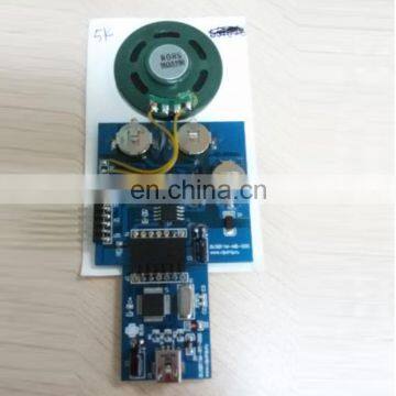 360s USB Voice Recording Button Module