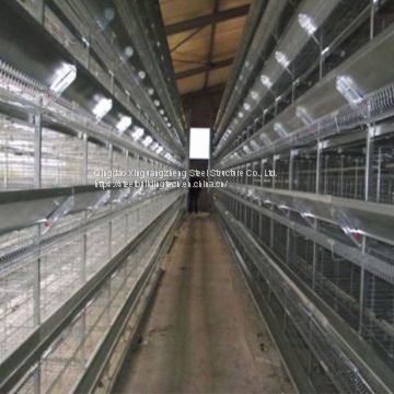 Hot Galvanized Automatic Chicken Cage/Poultry Farm House Design  custom steel structure chicken house