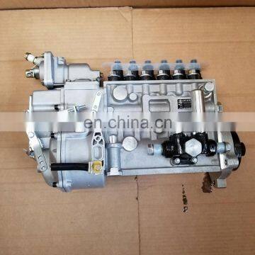 Shanghai C6121 Diesel Engine Fuel Injection Pump Longbeng P10Z010 BH6P110 photo-2
