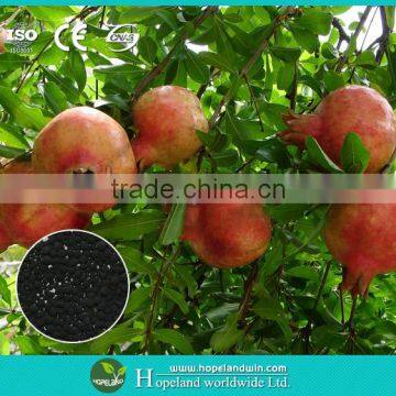 Sugar crops organic fertilizer