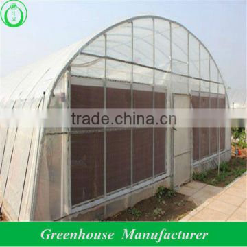 polytunnel greenhouse manufacturer