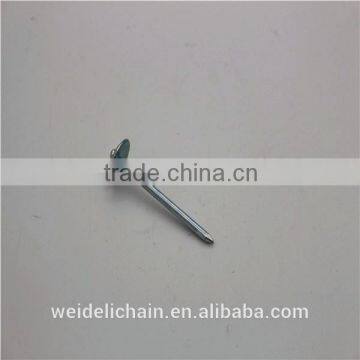 Competitive Price BWG10X2.5" Roofing Nails photo-2