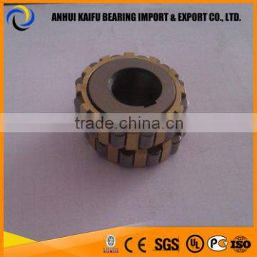 Eccentric Bearing 300752307