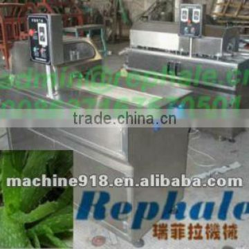 high capacity Aloe cutting machine