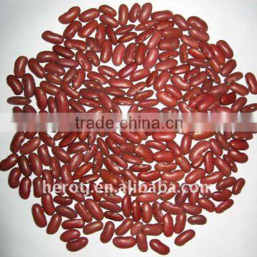 Red Kidney Beans British Type 2012 Crop