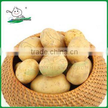 Wholesale potato/Potato low price/ Fresh potato from China