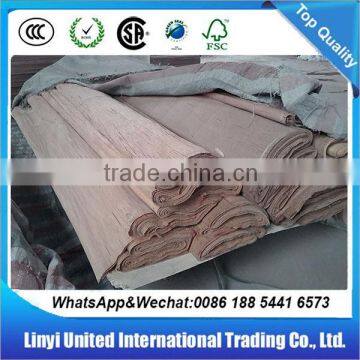 PLB Face Veneer photo-3