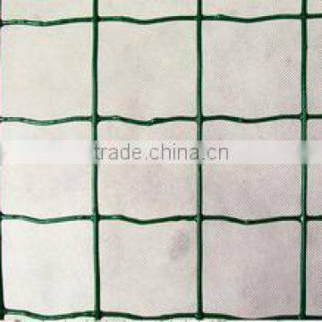 Holland Wire Mesh Supplier, Used In Chicken Or Rabbit Cage photo-5