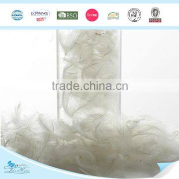 High Quality Washed Duck Feather