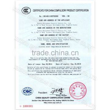 Passenger Tricycle Electric Rickshaw for Elderly photo-3