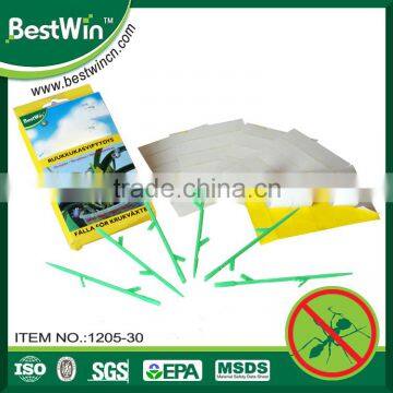 BSTW over 10 years experience strong adhesive cardboard insect trap