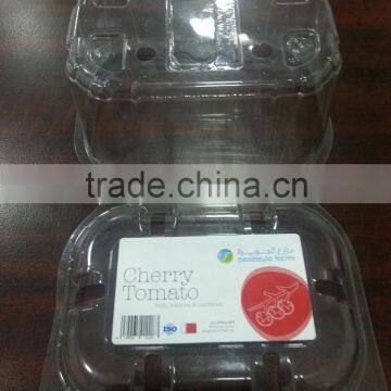 RIGID PVC FILM, APET SHEET, PETG SHEET, GAG SHEET photo-5