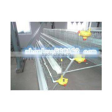 quail cages /high quality chicken cages for sale