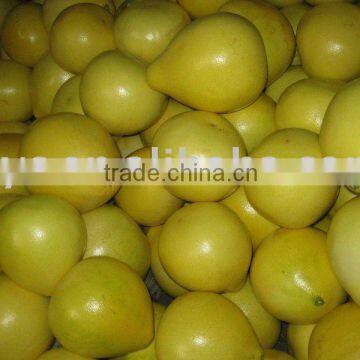 Chinese fresh honey pomelo