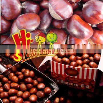 New Crop Organic Bulk Fresh Chestnuts for sale