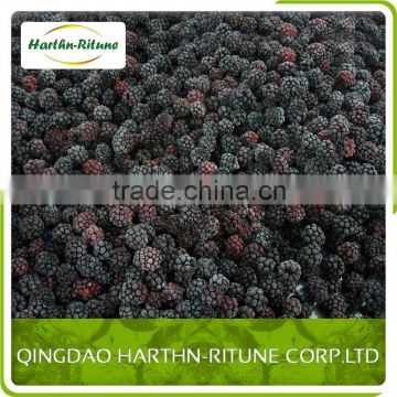 Hot Sale Frozen Fruits Blackberry Price