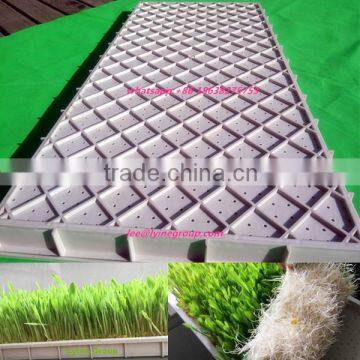 barley wheat rice sprouting seed trays,nursery tray for sprout