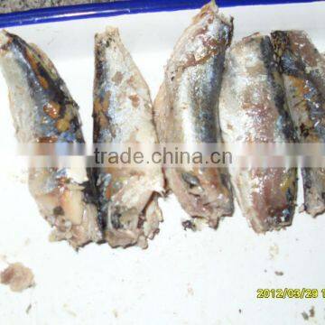 canned mackerel in oil