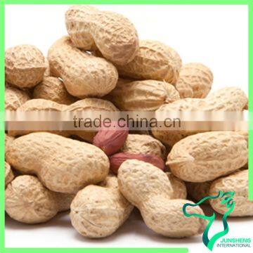 Healthy Product Chinese Factory Price Peanuts Shandong Province