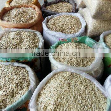 New Crop Chinese White Pumpkin Seeds Shine Skine for Sell photo-4