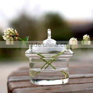 Micro landscape ecological HOUSE shape Meaty plant vase