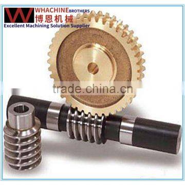 Custom Worm Gear of Transmission Parts Made By WhachineBrothers Itd