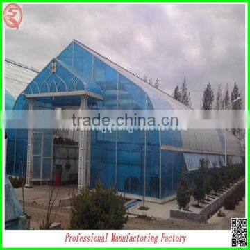 Economic and Eco-friendly Single-span Solar Greenhouse for Plant Growing With Arched Type photo-3