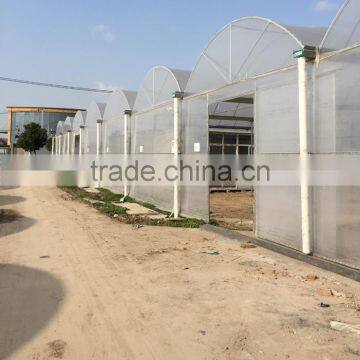 commercial polycarbonatge hydroponics greenhouse shade green house design