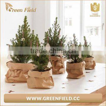Green Field Washable Kraft Paper Storage Bag Waterproof Planter Bag