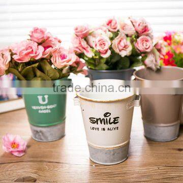 2016 Latest Colorful Pringting Mini Flower Pot / Metal Bucket For Kids