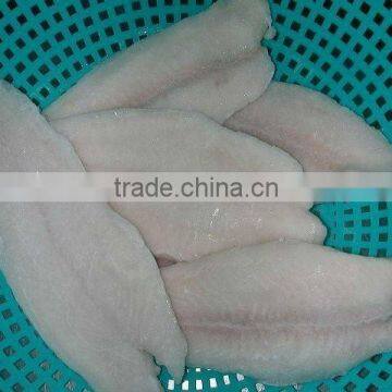 FRESH Frozen Pangasius Fillet FISH