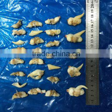 Frozen Suff Clam Meat photo-5