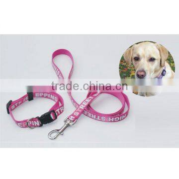 pet products of dog collar with your brand logo