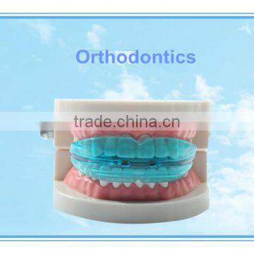 Dental Teeth Orthodontic Appliance Trainer Alignment Transparent and Blue Color photo-6