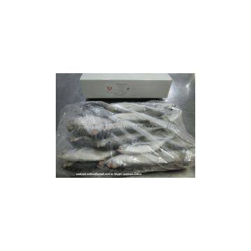 OFFER VIETNAM FROZEN HORSE MACKEREL WHOLE ROUND