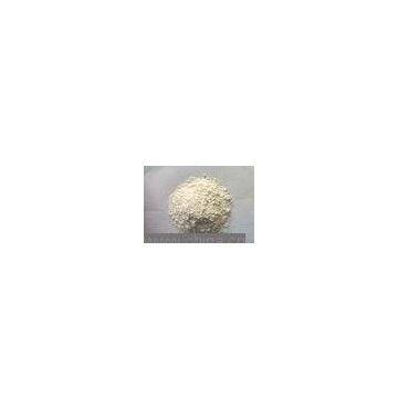 Rice Protein Concentrate