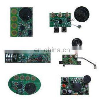 Voice record and playback chip for graphic card