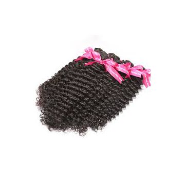 Malaysian Curly Chemical free Human Hair Wigs Thick