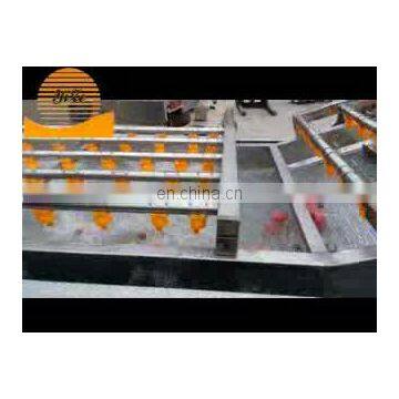 Automatic vegetable fruit meat thawing washing machine Fruit washer price