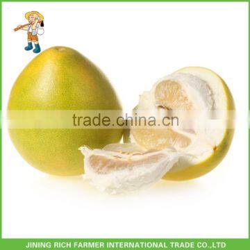 New Crop Chinese Fresh Sweet Honey Pomelo